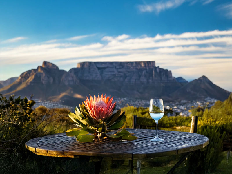 Table Mountain in background and table with protea flower + Sesfikile Wine glass in the foreground